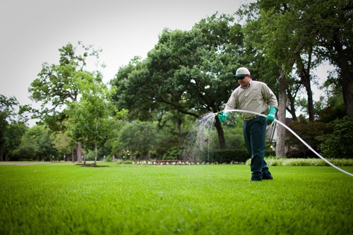 Lawn Fertilizing - Formula Green Lawn Spray